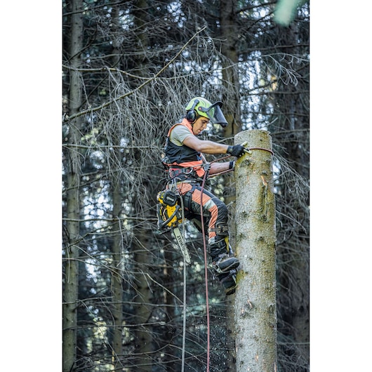 A person in safety gear using a DEWALT chainsaw to cut a tree trunk while climbing with ropes in a forest.