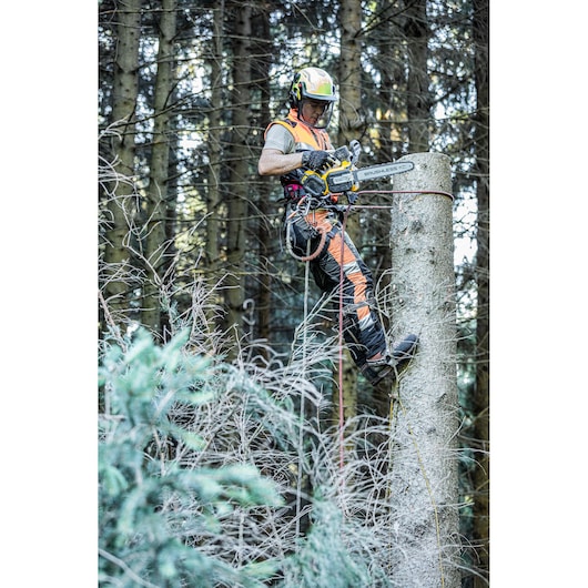 A person wearing safety gear is using a DEWALT cordless chainsaw to cut the top of a tree trunk in a forest. The individual is equipped with harnesses and protective clothing for tree climbing and chainsaw work.