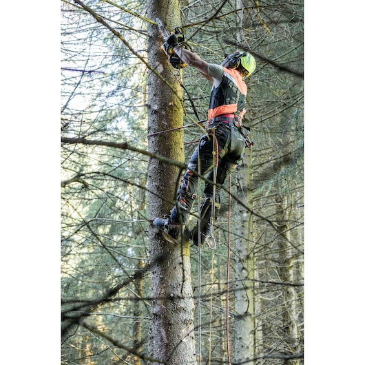 A person wearing safety gear is climbing and working on a tree in a forest using a chainsaw, with ropes for support and climbing.