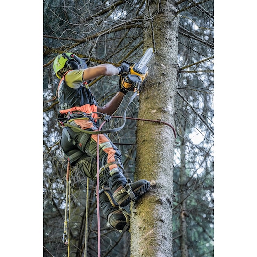A person equipped with protective gear climbs a tree and uses a DEWALT chainsaw to cut branches. Safety ropes and climbing equipment are visible.