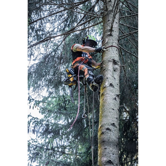 A person wearing safety gear and using a DEWALT chainsaw is secured with climbing ropes while pruning or cutting branches high up in a tree in a forested area.
