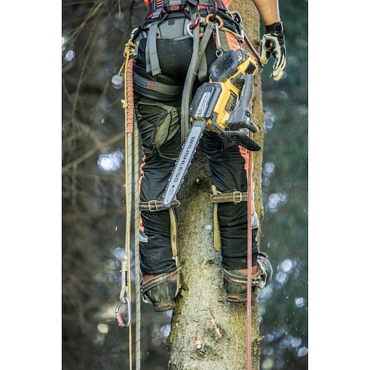 A person wearing safety gear and climbing equipment is standing on a tree trunk, carrying a DEWALT brushless chainsaw attached to their harness. The scene suggests tree maintenance or arborist work in a forested area.