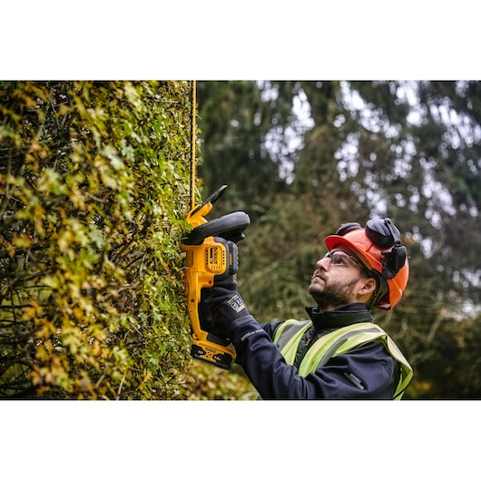 A person wearing safety gear is using a DEWALT cordless hedge trimmer (model DCMHT563N) to trim a hedge outdoors.
