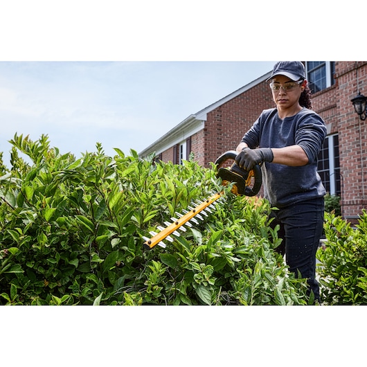 A person using a DEWALT cordless hedge trimmer to trim green bushes in front of a brick house, wearing gloves and a cap.