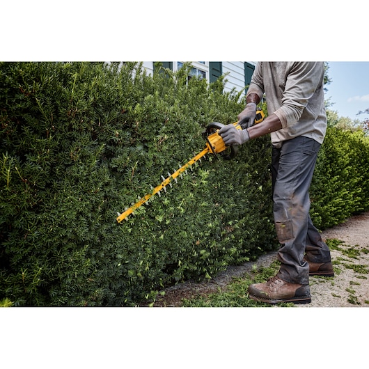 A person wearing gloves uses a yellow DEWALT cordless hedge trimmer to trim a large green hedge next to a house.