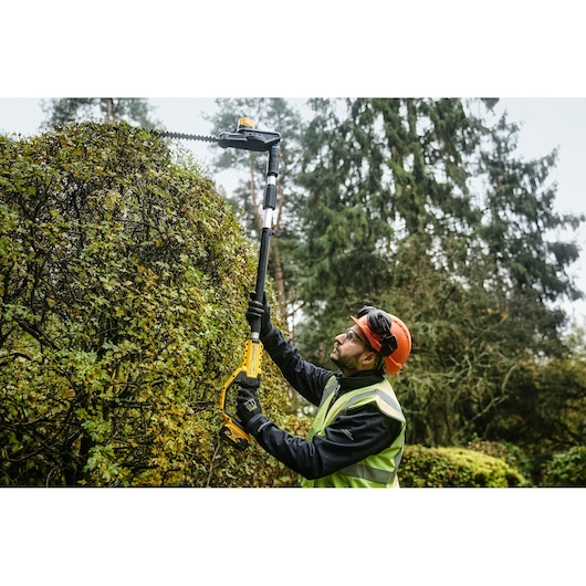 A person wearing safety gear using a DEWALT cordless pole hedge trimmer (model DCMPH566P1) to trim tall bushes in an outdoor garden area.