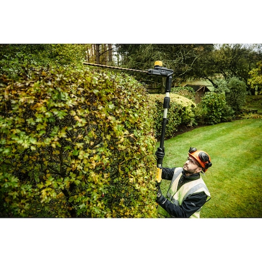 A person wearing protective gear and a high-visibility vest is using a DEWALT DCMPH566P1 cordless pole hedge trimmer to trim tall hedges in a garden.