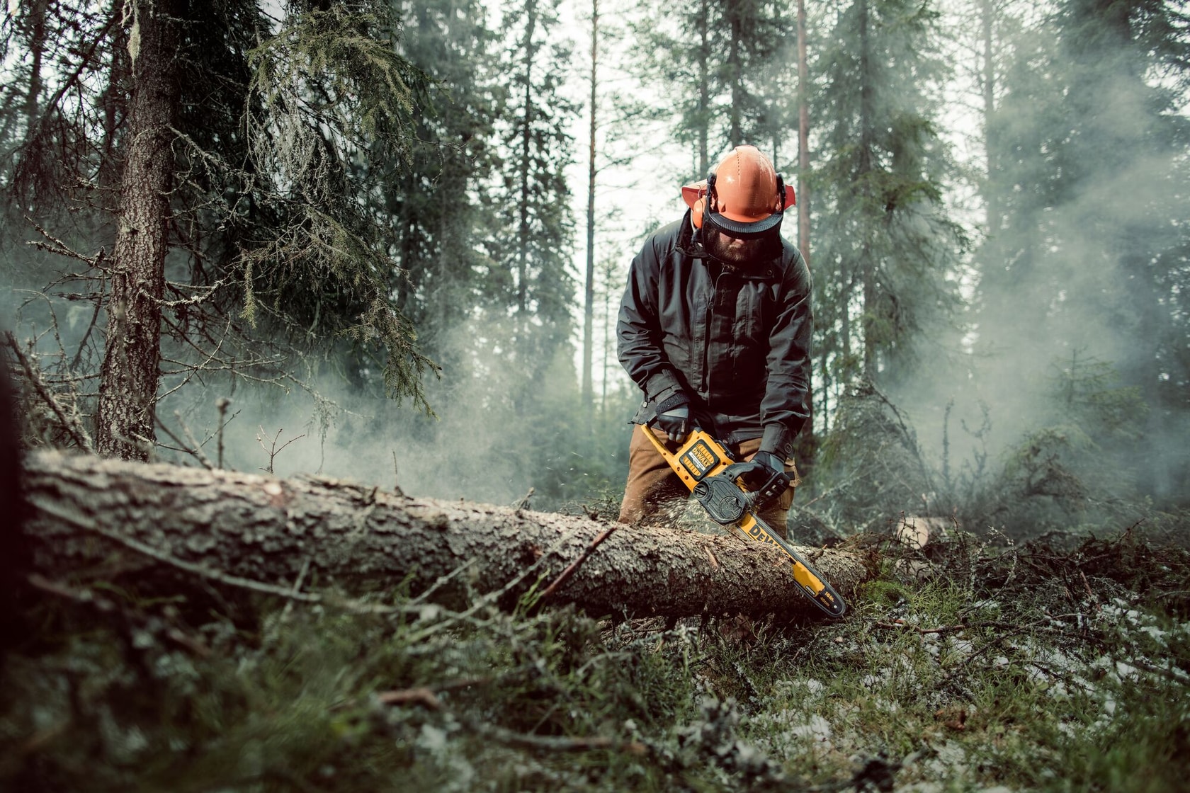 Photo of worker using DEWALT DCM575X2 chainsaw to cut tree log in forest.